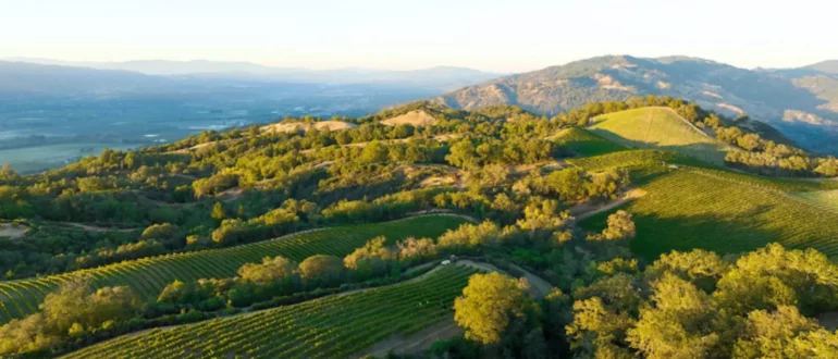 Bonterra punta molto sull'agricoltura rigenerativa con una nuova linea di vini eco-compatibili