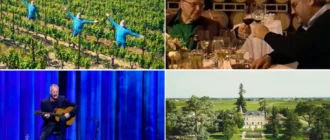 Les meilleures vidéos sur les nouveaux vins de 2022