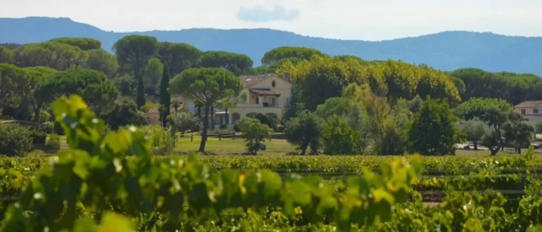 LVMH bestämmer sig för att det inte räcker med ett toppmärke av rosé från Provence och köper in sig i Château Minuty